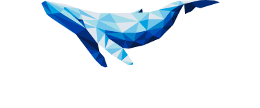 Diamond Whales